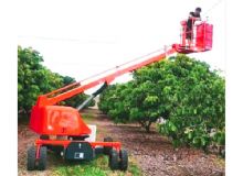 果園采摘車(chē) 閱讀次數(shù)：728